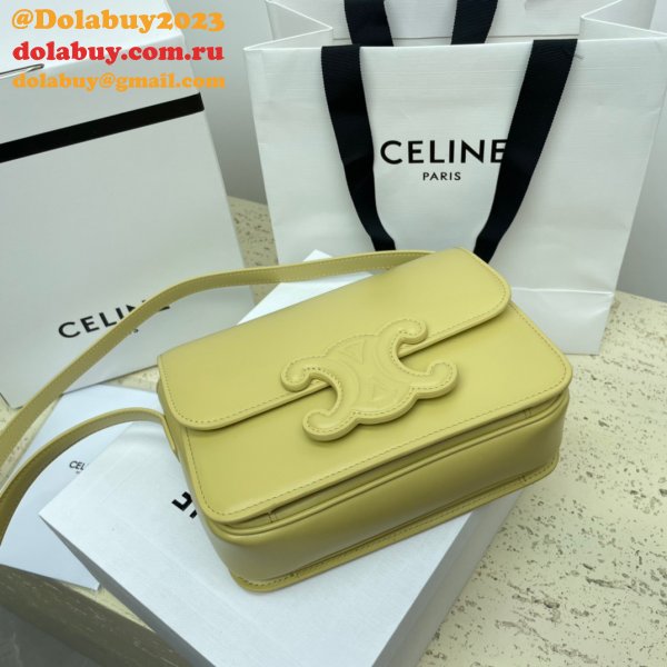 1:1 Replica Celine Triomphe Teen Luxury Handbag