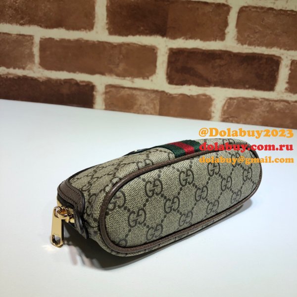 Top Gucci Ophidia GG 625550 cosmetic case Replica Bag