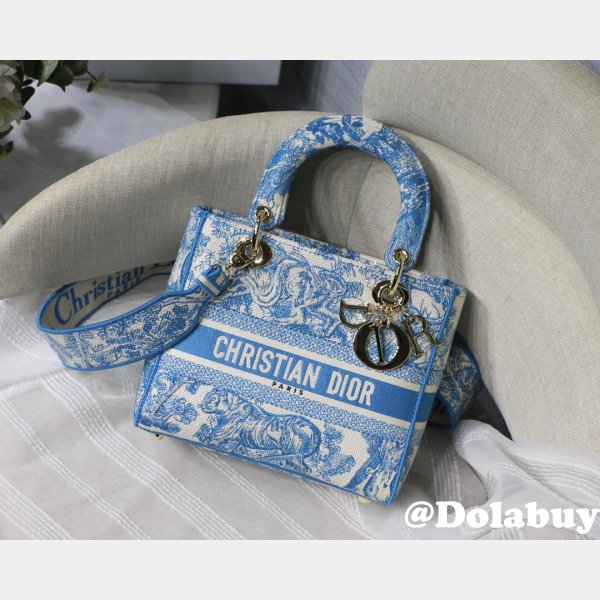 Practical And Versatile Replica Designer Lady Dior 24cm Bags Options