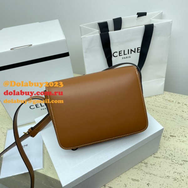 1:1 Replica Celine Triomphe Teen Luxury Handbag