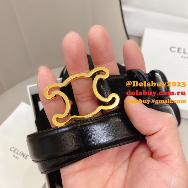 We provide Top Celine AAA+ Belts Sell