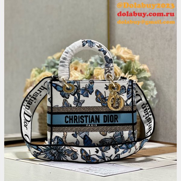 Blue/Pink Christian Dior Fake 9027 Five Grid Embroidery Lady Bag