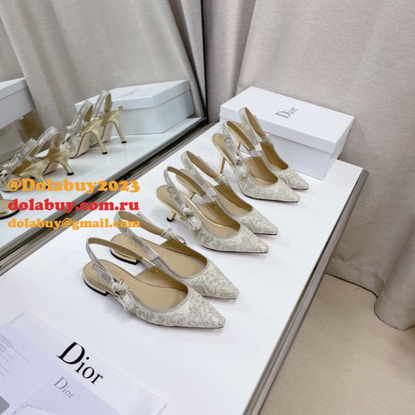 Luxury High Quality Fashion Designer Dior Shoes